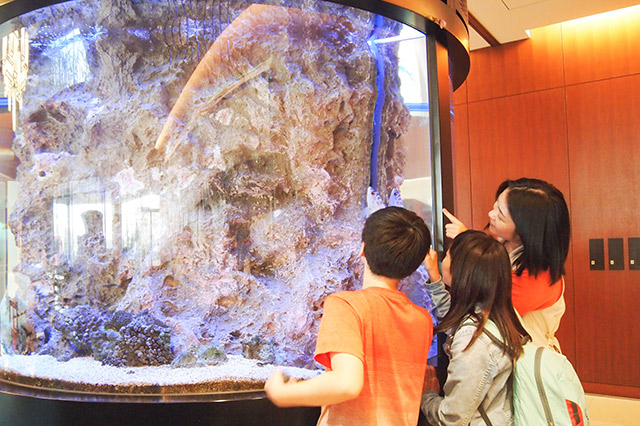 アクティビティ3