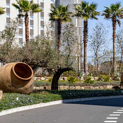 ニシハタ セイジュン