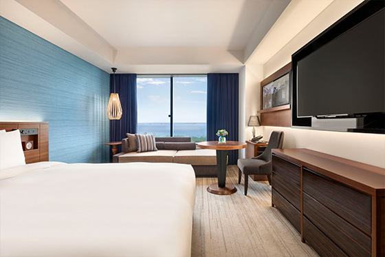 デラックスルーム画像