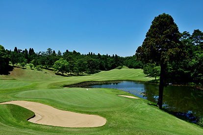 PGM总成高尔夫俱乐部