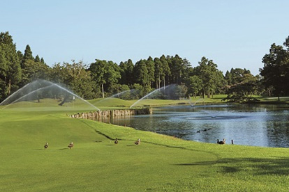 新浪潮高尔夫俱乐部