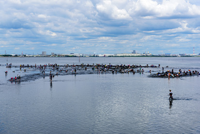 浦安三番濑海岸
